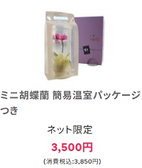 花秘書胡蝶蘭最安値